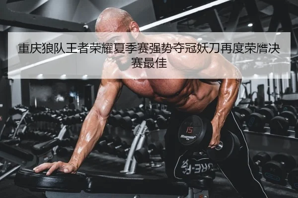 重庆狼队王者荣耀夏季赛强势夺冠妖刀再度荣膺决赛最佳